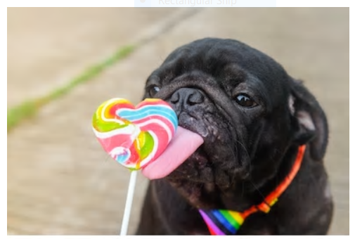 Pug licking a rainbow candy